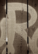 Wall_Art_Alphabet_Photography_Art_ 1924